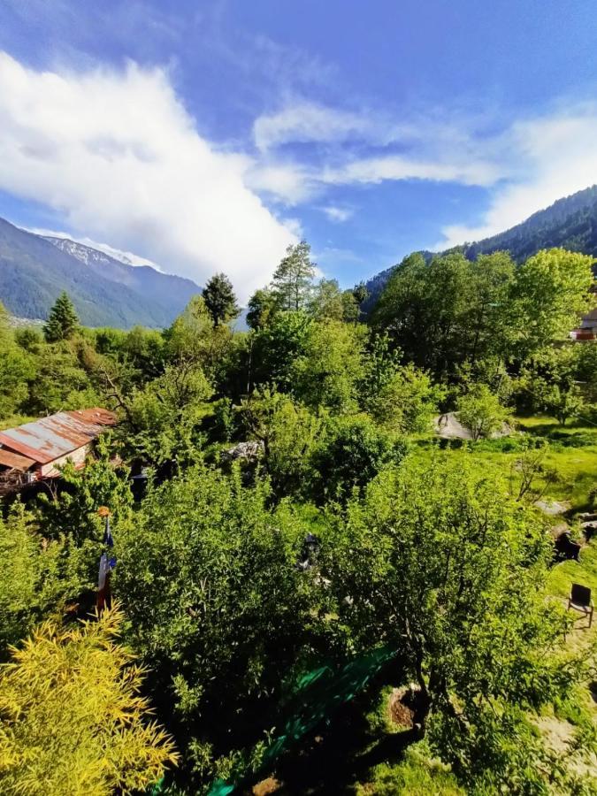 Rashpa Cottage Manāli エクステリア 写真
